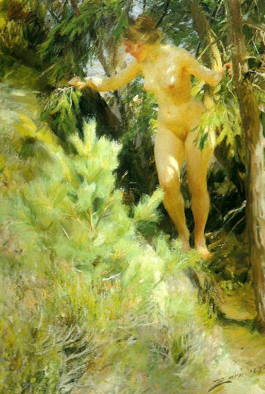 Anders Zorn naken under en gran oil painting picture
